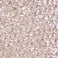 Diantha Clutch Bag - Image 7